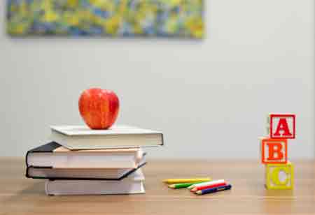 Primary Hurdles with School Management System 